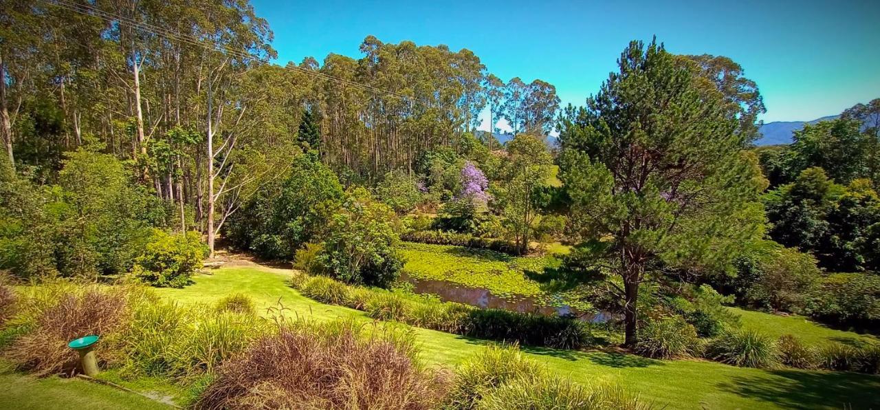 Lilypad Luxury Cabins بيلينغين المظهر الخارجي الصورة