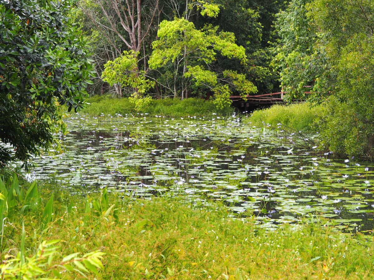 Lilypad Luxury Cabins بيلينغين المظهر الخارجي الصورة